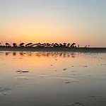 Lejlighed Tres Palmeiras With Pool *