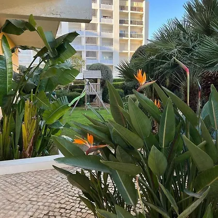 Apartmán Tres Palmeiras With Pool