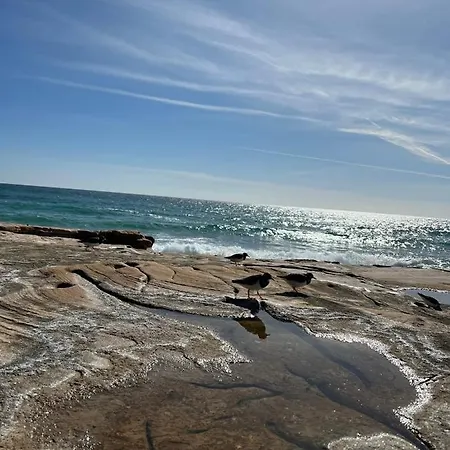 アパート Tres Palmeiras With Pool