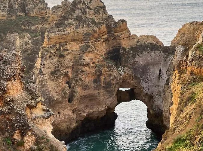 Tres Palmeiras With Pool アパート