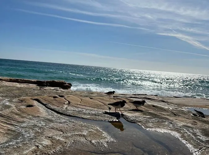 アパート Tres Palmeiras With Pool